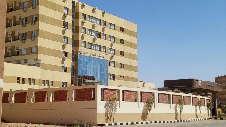 Aswan Hospital